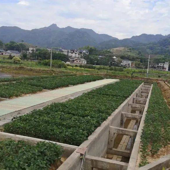 農(nóng)產(chǎn)品產(chǎn)地環(huán)境檢測與評價