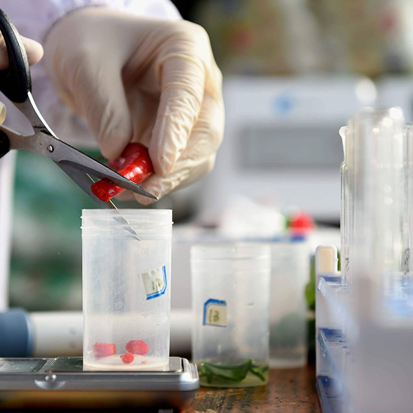 食品快速檢測(cè)